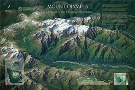 Mount Olympus—Wild Heart of the Olympic Mountains