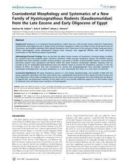 From the Late Eocene and Early Oligocene of Egypt