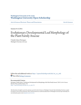 Evolutionary Developmental Leaf Morphology of the Plant Family Araceae Claudia Liliana Henriquez Washington University in St