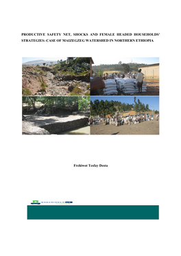 Productive Safety Net, Shocks and Female Headed Households’ Strategies: Case of Maizegzeg Watershed in Northern Ethiopia