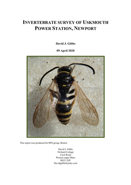 Invertebrate Survey of Uskmouth Power Station, Newport