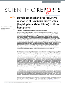 Developmental and Reproductive Response of Brachmia Macroscopa