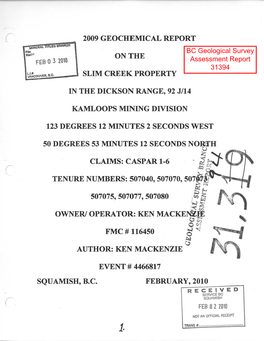 2009 Geochemical Report on the Slim Creek Property In