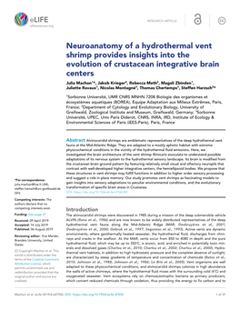 Neuroanatomy of a Hydrothermal Vent Shrimp Provides Insights Into The