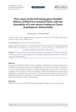 First Report of the Leaf-Mining Genus Antispila Hübner