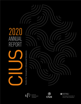 CIUS Annual Report 2020