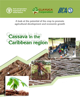 Cassava in Latin America and the Caribbean