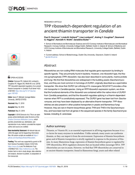 TPP Riboswitch-Dependent Regulation of an Ancient Thiamin Transporter in Candida