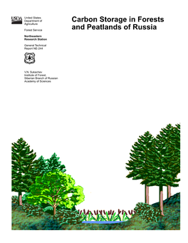 Carbon Storage in Forests and Peatlands of Russia