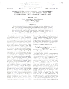 Chaetopleura Staphylophera (Polyplacophora: Chaetopleuridae), a New Species from the Southeastern United States and Bahamas