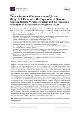 Terpenoids from Platostoma Rotundifolium (Briq.) A. J. Paton