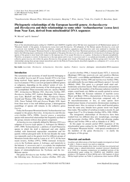 Phylogenetic Relationships of the European Lacertid