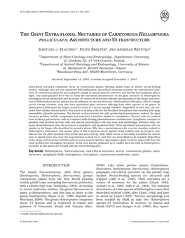 The Giant Extra-Floral Nectaries of Carnivorous Heliamphora Folliculata: Architecture and Ultrastructure