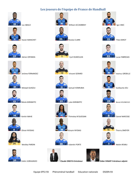 Les Joueurs De L'équipe De France De Handball