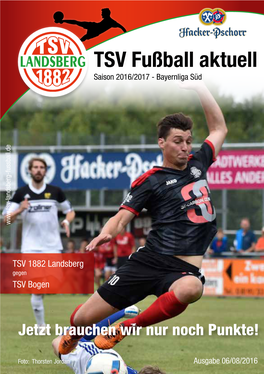 TSV Fußball Aktuell Saison 2016/2017 - Bayernliga Süd