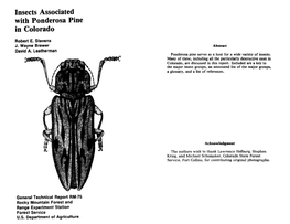 Insects Associated with Ponderosa Pine in Colorado