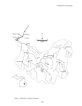 165 Flint River Assessment