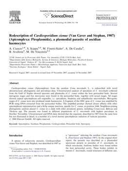 PROTISTOLOGY European Journal of Protistology 44 (2008) 181–196