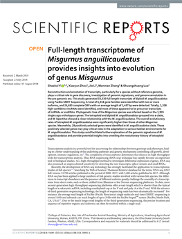 Full-Length Transcriptome of Misgurnus Anguillicaudatus Provides Insights