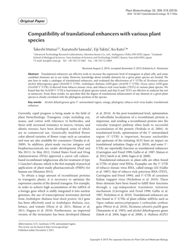 Compatibility of Translational Enhancers with Various Plant Species