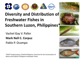 Diversity and Distribution of Freshwater Fishes in Southern Luzon, Philippines*