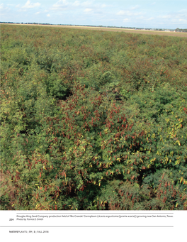 Challenges to Developing Native Legume Seed Supplies: the Texas Experience As a Case Study