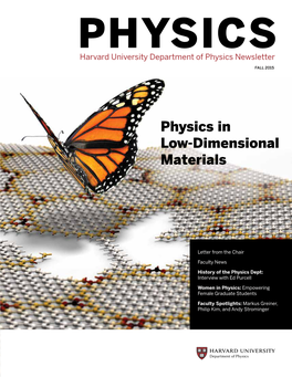 Physics in Low-Dimensional Materials