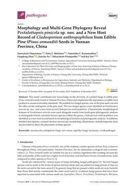 Morphology and Multi-Gene Phylogeny Reveal Pestalotiopsis Pinicola Sp