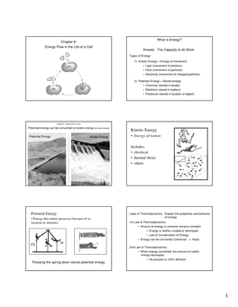 Kinetic Energy = Energy of Movement • Light (Movement of Photons) • Heat (Movement of Particles) • Electricity (Movement of Charged Particles)