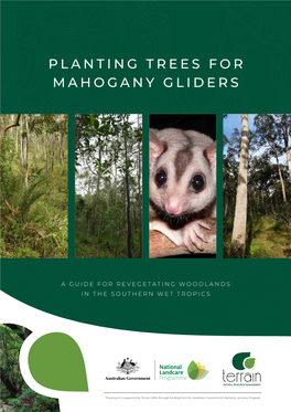 Planting Trees for Mahogany Gliders