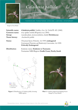 Listing Statement for Caladenia Pallida (Rosy Spider-Orchid)