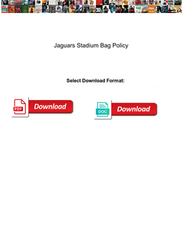Jaguars Stadium Bag Policy