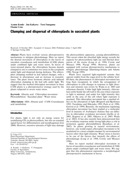 Clumping and Dispersal of Chloroplasts in Succulent Plants