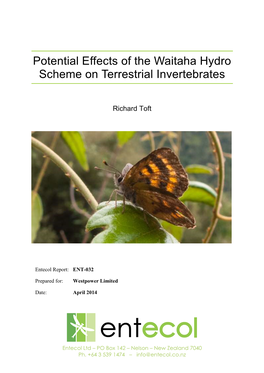 Potential Effects of the Waitaha Hydro Scheme on Terrestrial Invertebrates