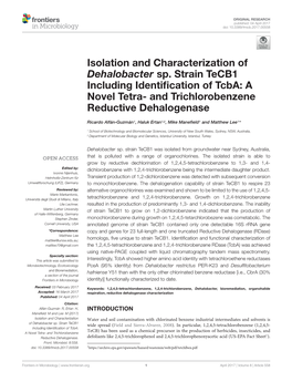 Isolation and Characterization of Dehalobacter Sp