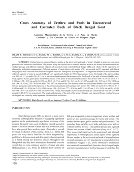 Gross Anatomy of Urethra and Penis in Uncastrated and Castrated Buck of Black Bengal Goat