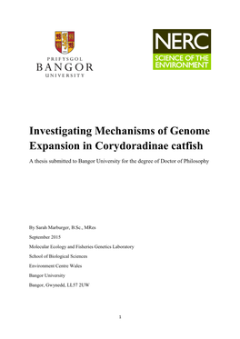 Investigating Mechanisms of Genome Expansion in Corydoradinae Catfish