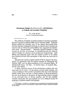 Chromosome Numbers in Hemerocallis, with Reference to Triploidy and Secondary Polyploidy by A. B. STOUT the New York Botanical G