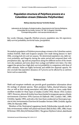 Population Structure of Polythore Procera at a Colombian Stream (Odonata: Polythoridae)