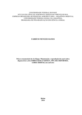 1 Universidade Federal Do Pará Núcleo De Ciências