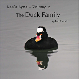 The Duck Family by Len Blumin