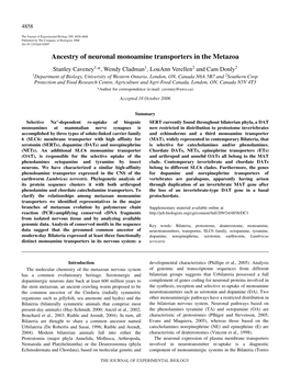 Ancestry of Neuronal Monoamine Transporters in the Metazoa