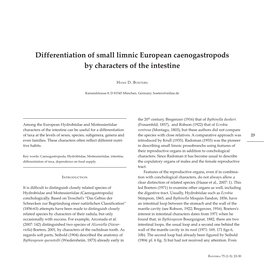 Differentiation of Small Limnic European Caenogastropods by Characters of the Intestine