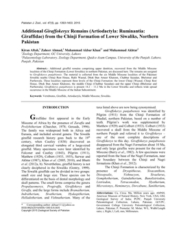 Additional Giraffokeryx Remains (Artiodactyla: Ruminantia: Giraffidae) from the Chinji Formation of Lower Siwaliks, Northern Pakistan