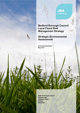 Bedford Borough Council Local Flood Risk Management Strategy