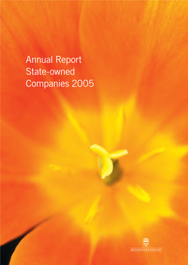 Annual Report State-Owned Companies 2005