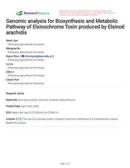 Genomic Analysis for Biosynthesis and Metabolic Pathway of Elsinochrome Toxin Produced by Elsinoë Arachidis
