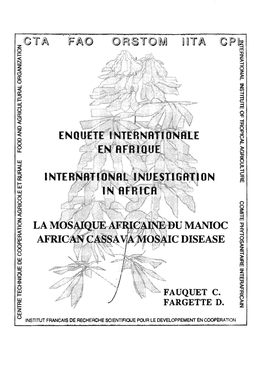 La Mosaïque Africaine Du Manioc