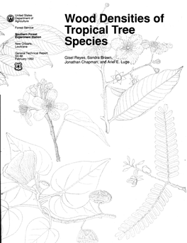 Wood Densities of Tropical Tree Species