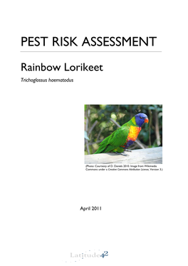 Pest Risk Assessment Rainbow Lorikeet